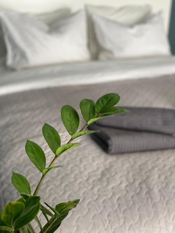 City Ocean Apartment داوُجافبيلسْ المظهر الخارجي الصورة
